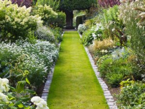 Come prendersi cura del giardino: trucchi e consigli per l’estate